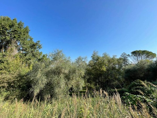 terreno agricolo in vendita ad Orte in zona Orte Scalo