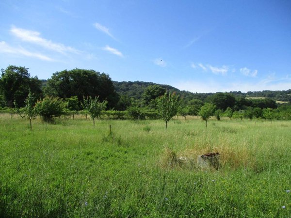 terreno agricolo in vendita ad Orte