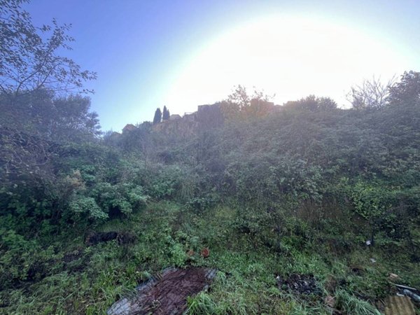 terreno agricolo in vendita ad Orte