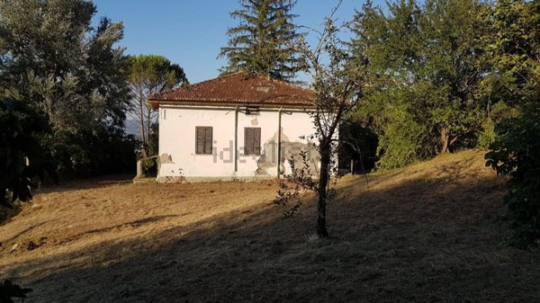 quadrivano in vendita ad Orte
