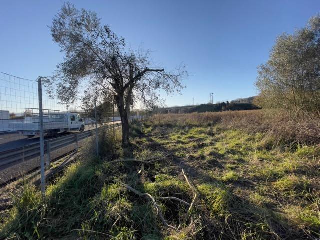 terreno agricolo in vendita ad Orte