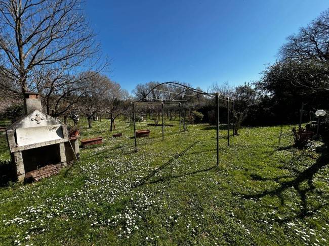 terreno agricolo in vendita ad Orte