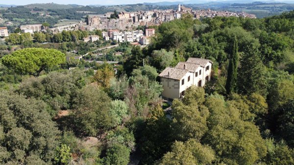 esavano in vendita ad Orte