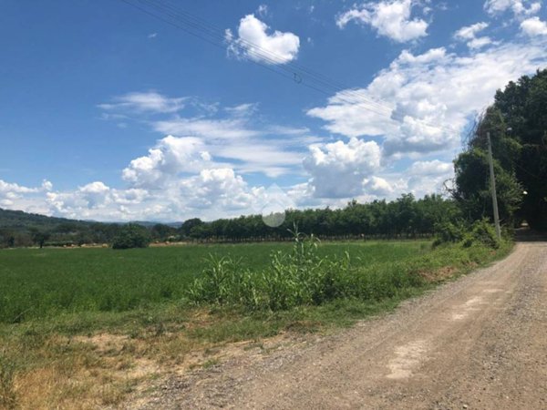 terreno agricolo in vendita ad Orte