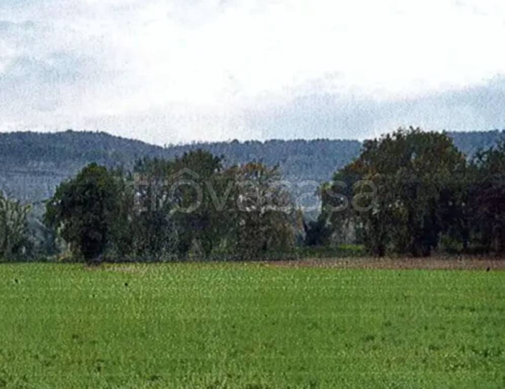 casa indipendente in vendita ad Orte in zona Orte Scalo