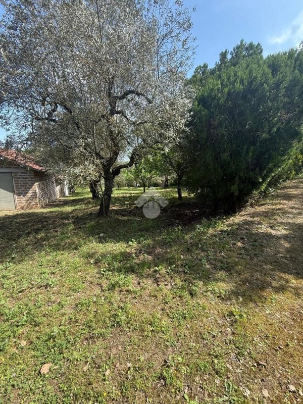 appartamento in vendita ad Orte