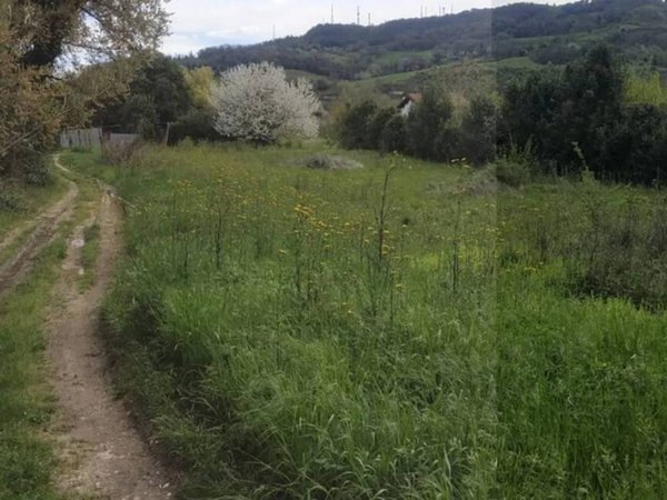 terreno agricolo in vendita ad Orte in zona Orte Scalo