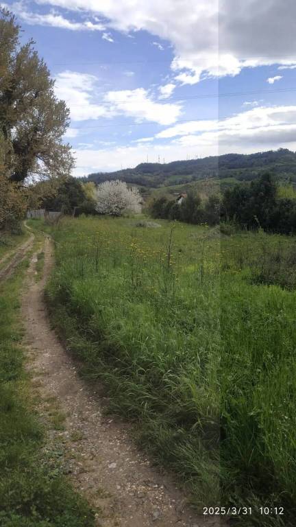 terreno agricolo in vendita ad Orte in zona Orte Scalo