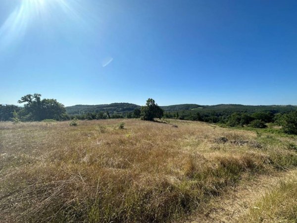 terreno agricolo in vendita ad Orte