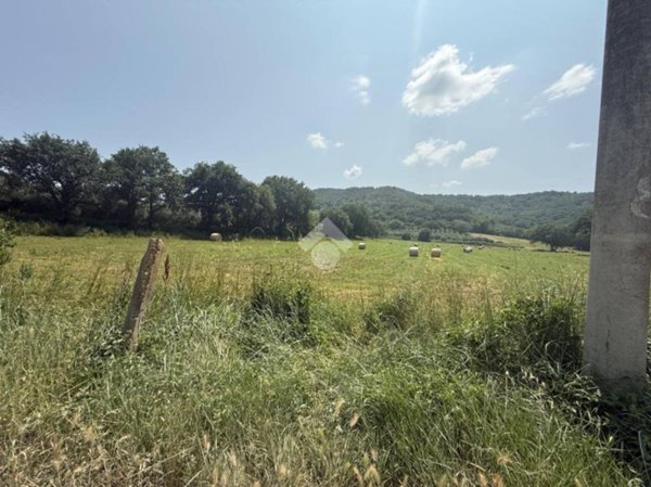 terreno agricolo in vendita ad Orte