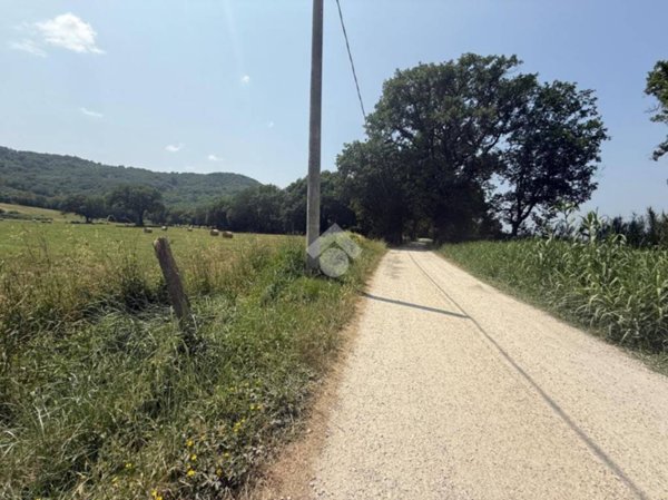 terreno agricolo in vendita ad Orte