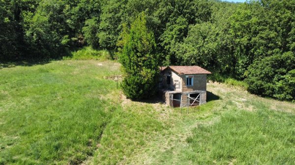 quadrivano in vendita ad Orte