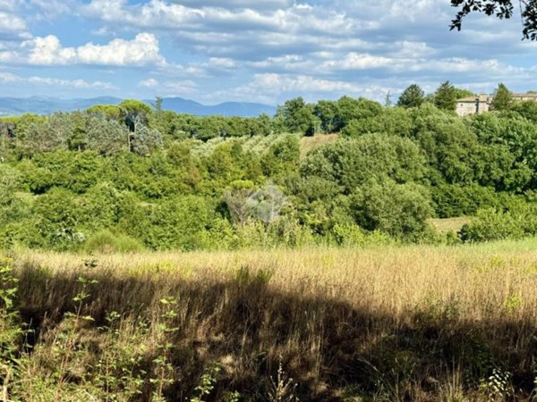 terreno agricolo in vendita ad Orte