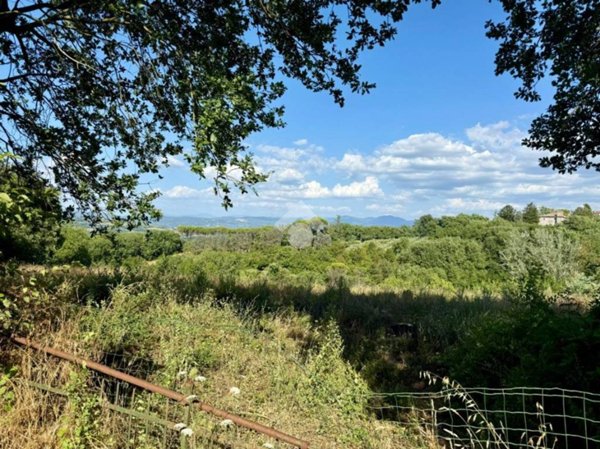 terreno agricolo in vendita ad Orte