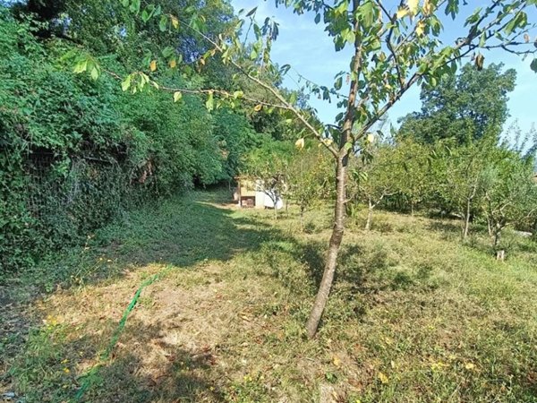 terreno agricolo in vendita ad Orte in zona Orte Scalo