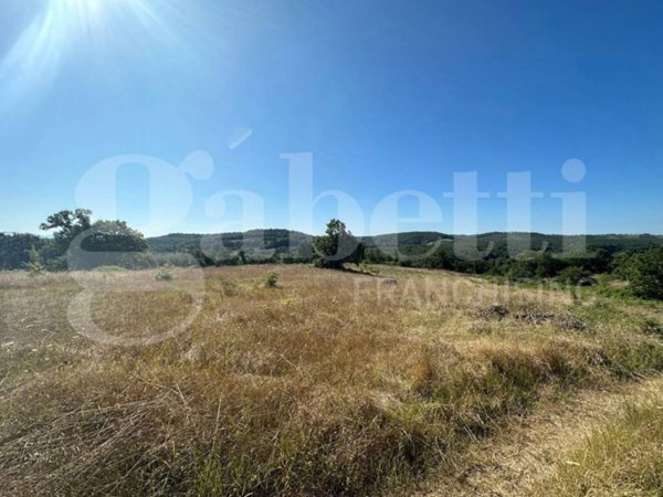 terreno agricolo in vendita ad Orte