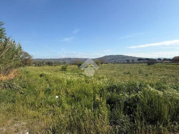 terreno agricolo in vendita ad Orte