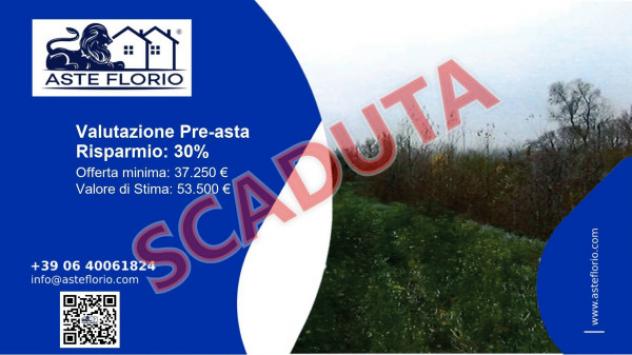 terreno agricolo in vendita ad Orte