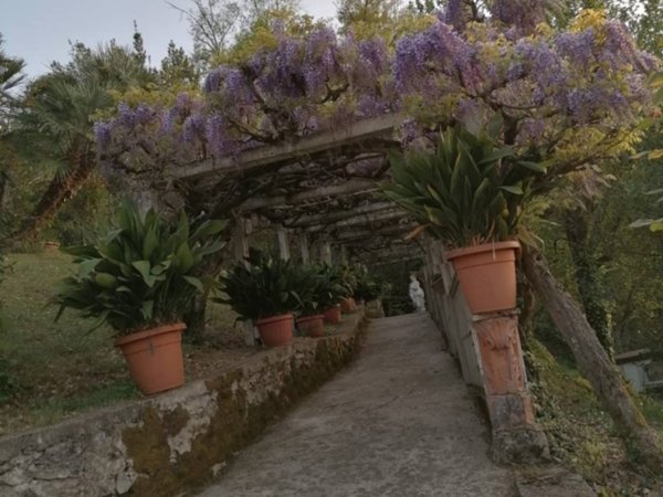 casa indipendente in vendita ad Orte