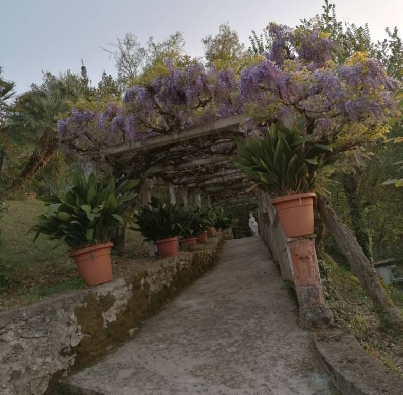 casa indipendente in vendita ad Orte