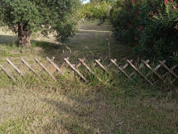 terreno agricolo in vendita ad Orte in zona Orte Scalo