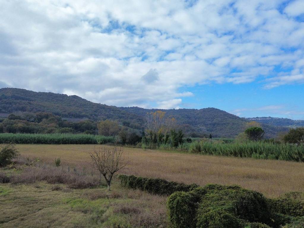 terreno agricolo in vendita ad Orte