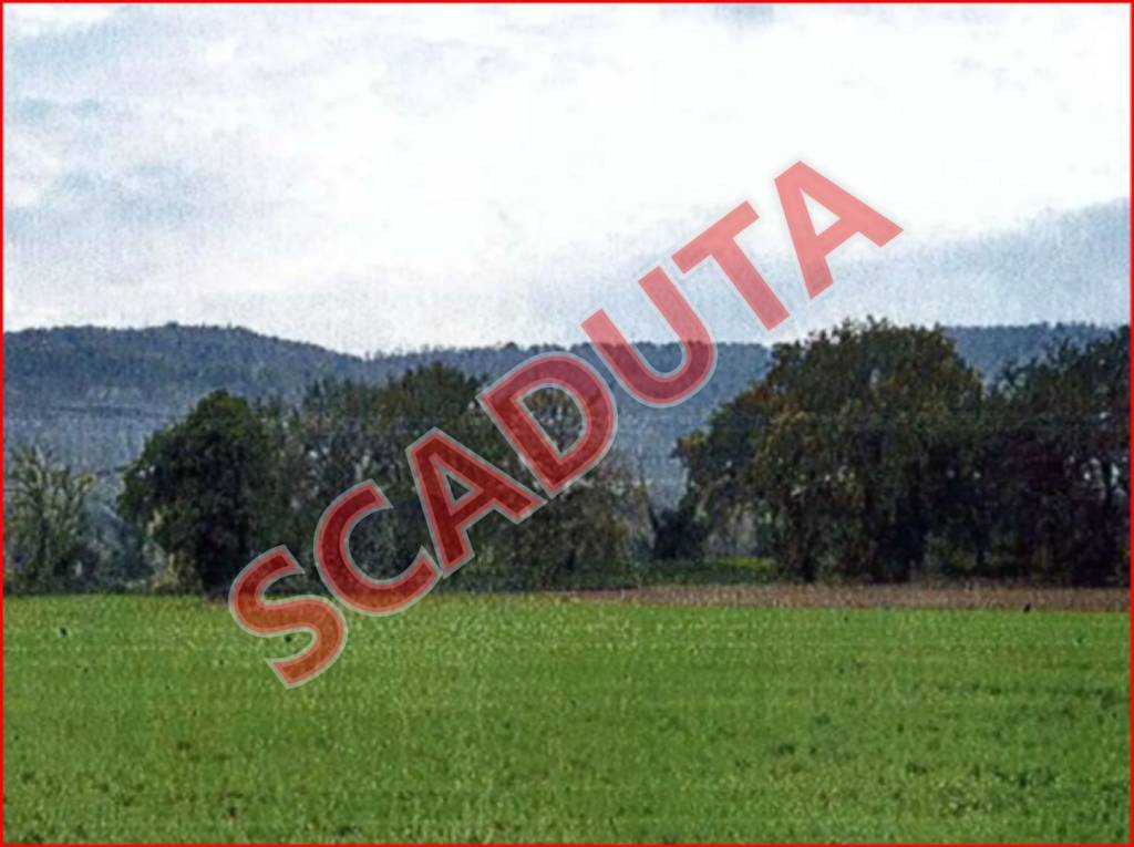 casa indipendente in vendita ad Orte