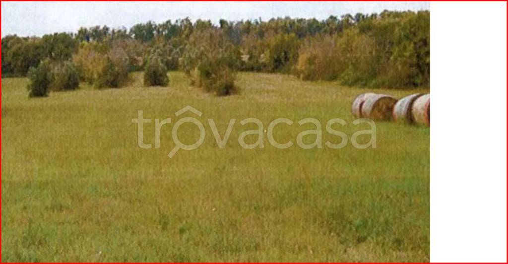 terreno agricolo in vendita ad Orte