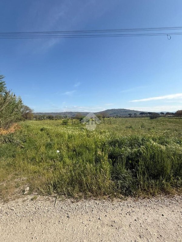 terreno agricolo in vendita ad Orte