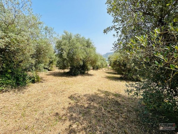 casa indipendente in vendita ad Orte