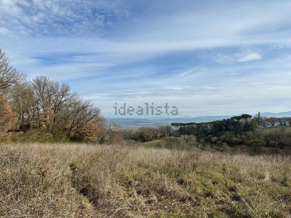 terreno agricolo in vendita ad Orte