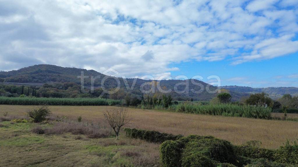 rudere in vendita ad Orte