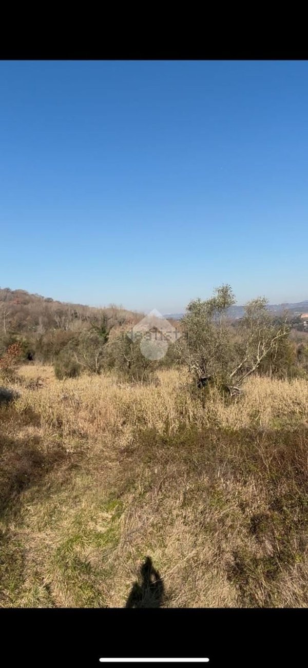 terreno agricolo in vendita ad Orte