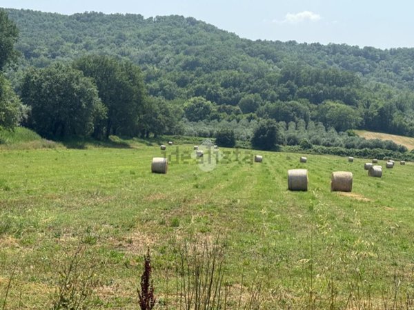 terreno agricolo in vendita ad Orte