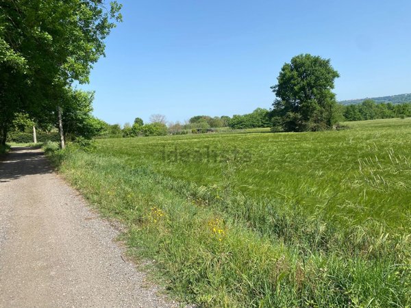 terreno agricolo in vendita ad Orte