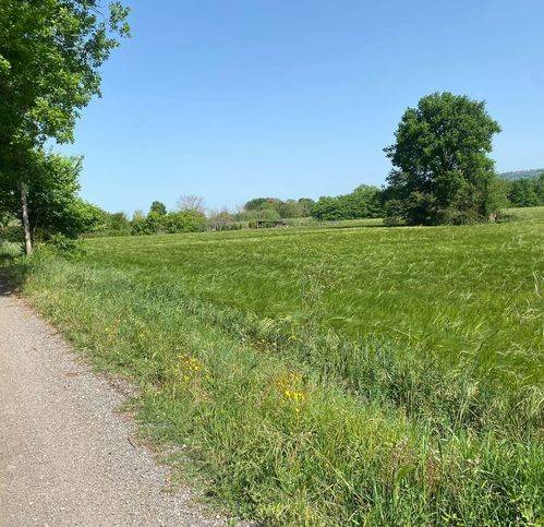 terreno agricolo in vendita ad Orte