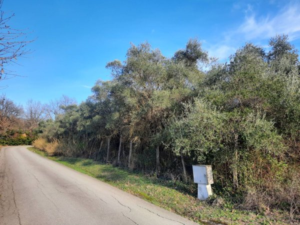 casa indipendente in vendita ad Orte