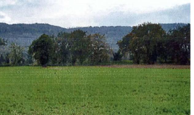 casa indipendente in vendita ad Orte