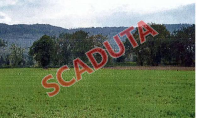 casa indipendente in vendita ad Orte