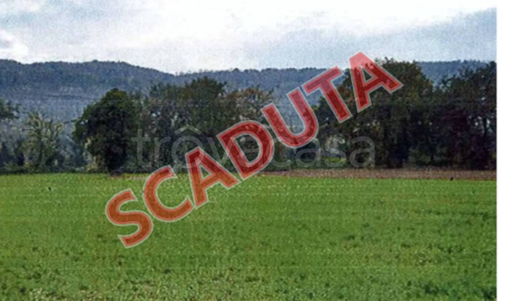 casa indipendente in vendita ad Orte