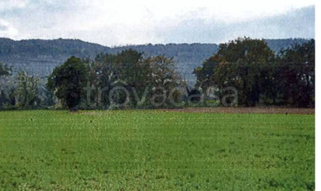 casa indipendente in vendita ad Orte