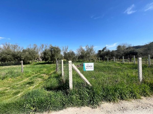 terreno agricolo in vendita ad Orte in zona Orte Scalo