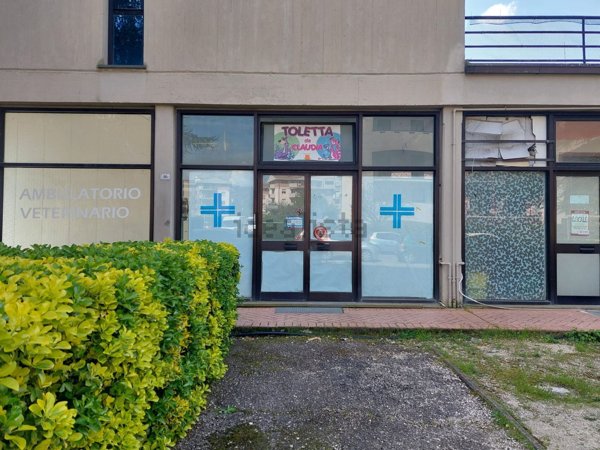 casa indipendente in vendita ad Orte