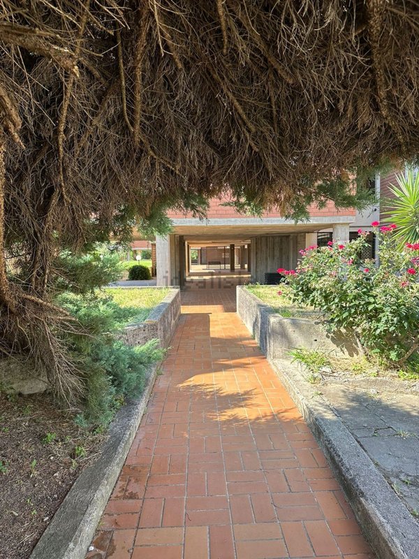 appartamento in vendita ad Orte