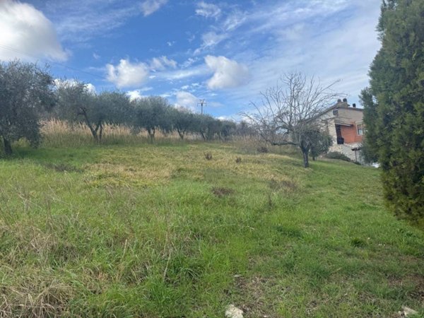 casa indipendente in vendita ad Orte in zona Orte Scalo