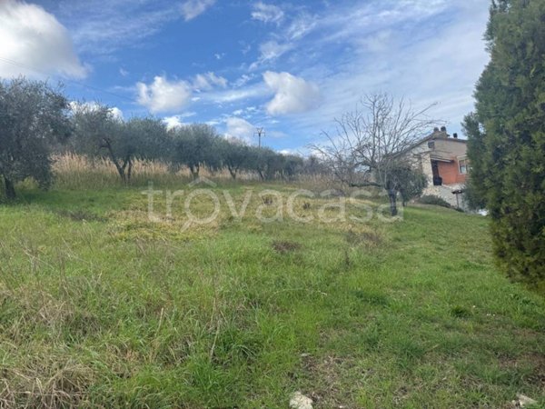 terreno agricolo in vendita ad Orte in zona Orte Scalo