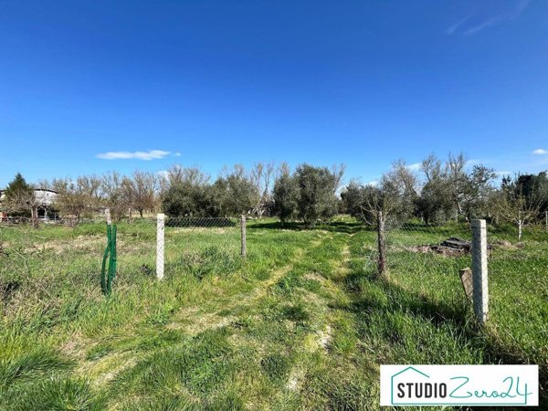 terreno agricolo in vendita ad Orte in zona Orte Scalo