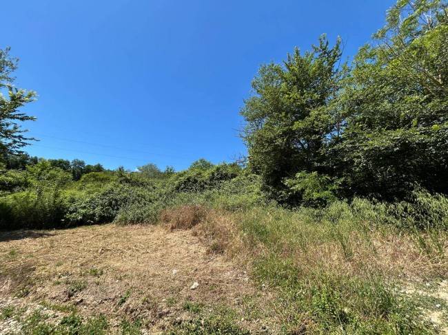 terreno agricolo in vendita ad Orte in zona Orte Scalo