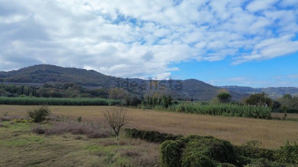 terreno agricolo in vendita ad Orte