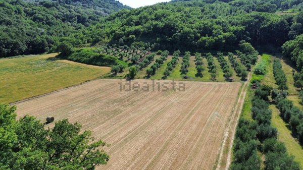 terreno agricolo in vendita ad Orte